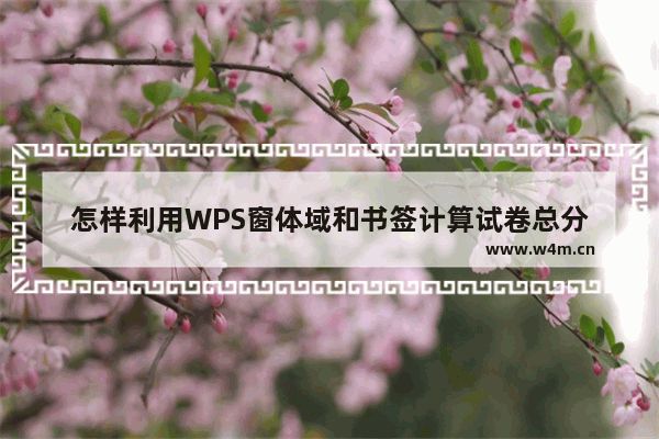 怎样利用WPS窗体域和书签计算试卷总分