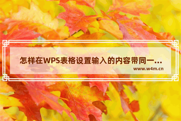 怎样在WPS表格设置输入的内容带同一个字