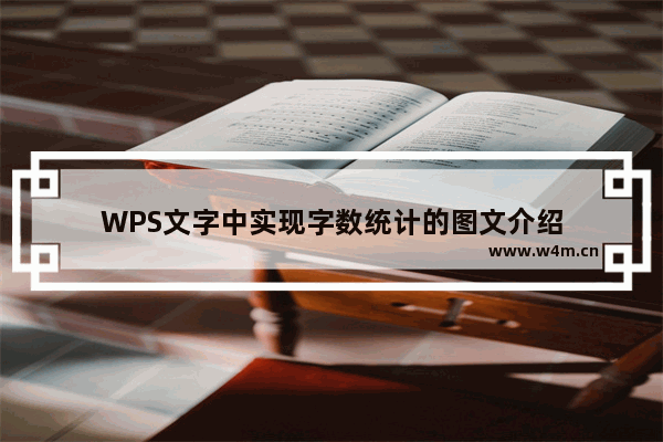 WPS文字中实现字数统计的图文介绍