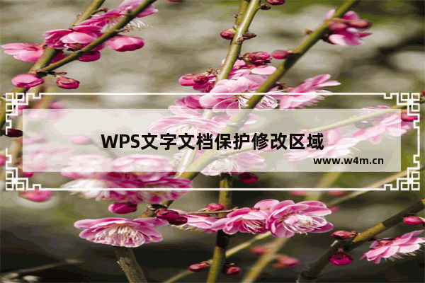 WPS文字文档保护修改区域