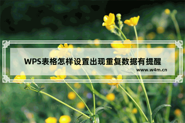 WPS表格怎样设置出现重复数据有提醒