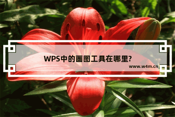 WPS中的画图工具在哪里?