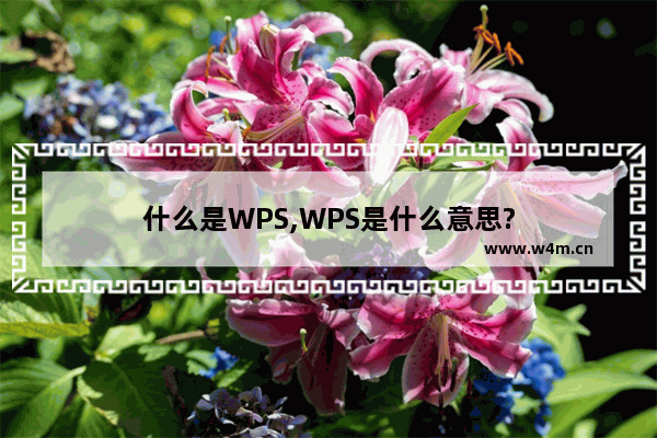 什么是WPS,WPS是什么意思?