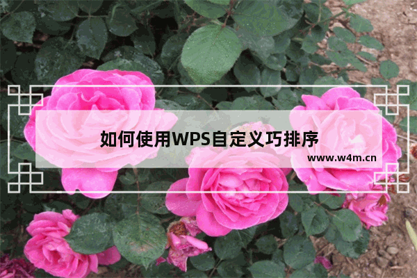 如何使用WPS自定义巧排序