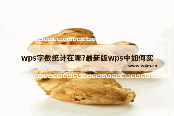 wps字数统计在哪?最新版wps中如何实现字数统计