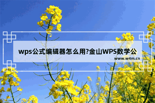 wps公式编辑器怎么用?金山WPS数学公式编辑器使用教程