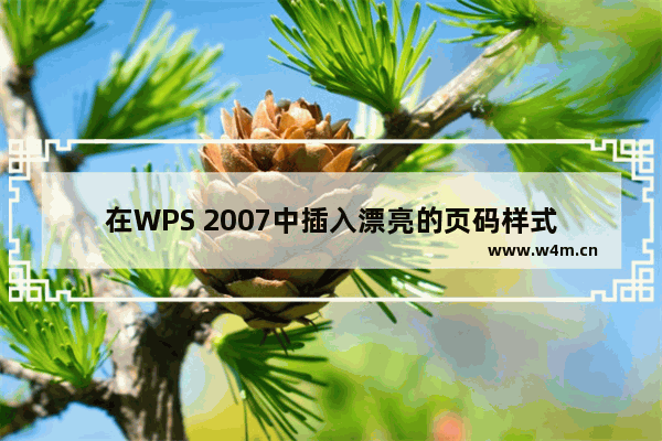 在WPS 2007中插入漂亮的页码样式