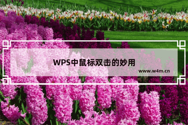 WPS中鼠标双击的妙用