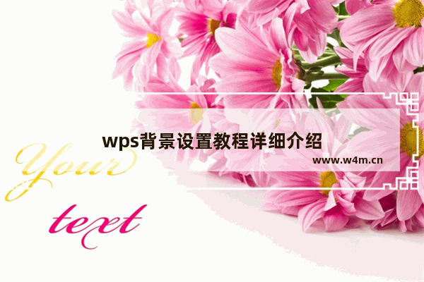 wps背景设置教程详细介绍