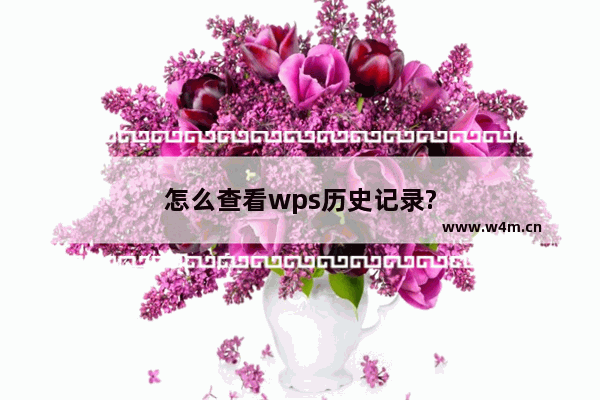 怎么查看wps历史记录?