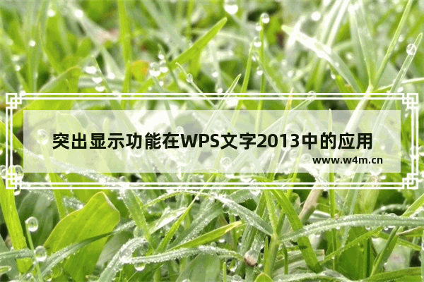 突出显示功能在WPS文字2013中的应用