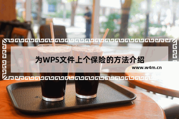 为WPS文件上个保险的方法介绍