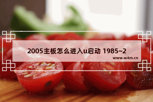 2005主板怎么进入u启动 1985~2005主板bios设置