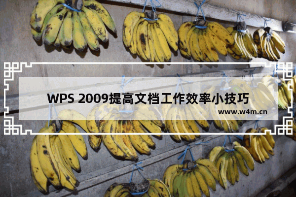 WPS 2009提高文档工作效率小技巧