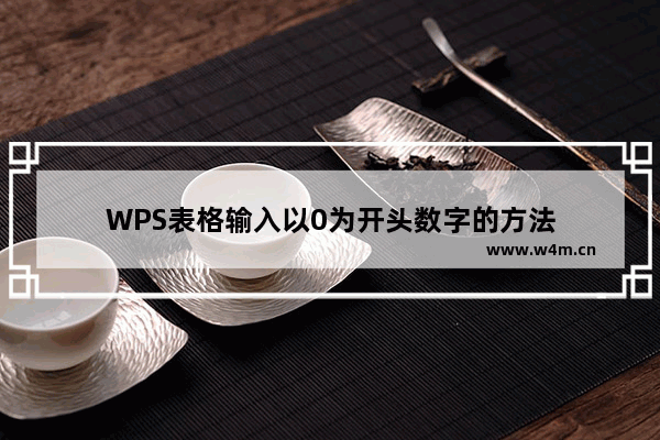 WPS表格输入以0为开头数字的方法