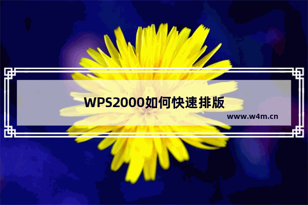 WPS2000如何快速排版