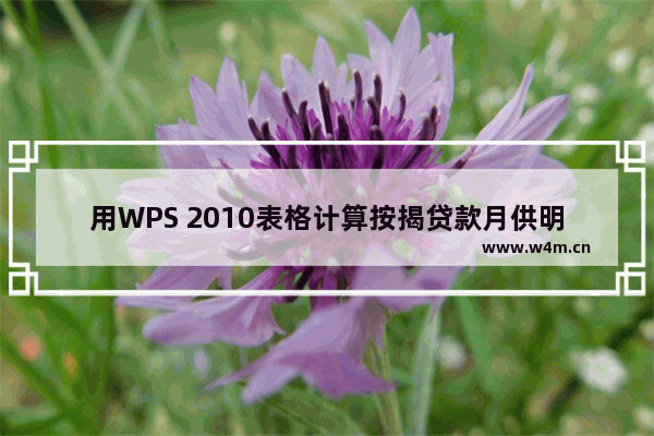 用WPS 2010表格计算按揭贷款月供明细账