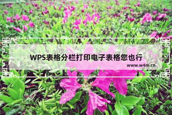 WPS表格分栏打印电子表格您也行