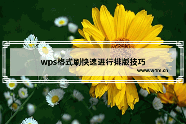 wps格式刷快速进行排版技巧