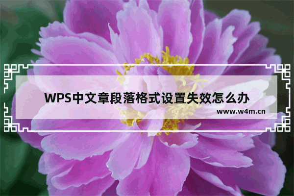 WPS中文章段落格式设置失效怎么办