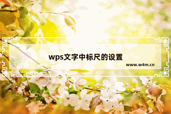 wps文字中标尺的设置