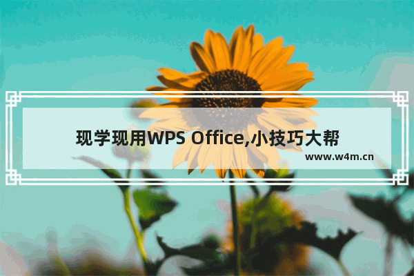 现学现用WPS Office,小技巧大帮助