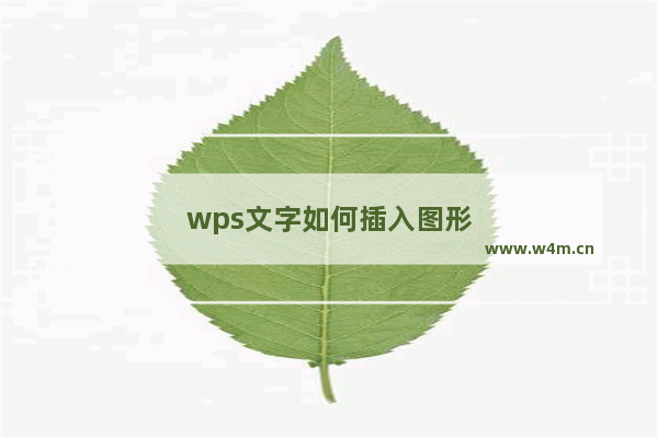 wps文字如何插入图形