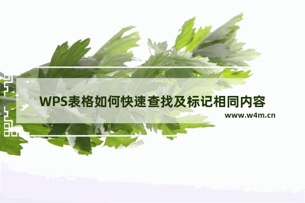 WPS表格如何快速查找及标记相同内容