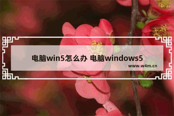 电脑win5怎么办 电脑windows5