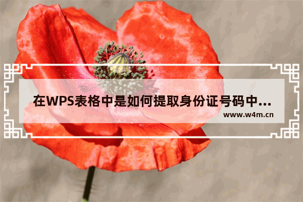 在WPS表格中是如何提取身份证号码中的出生日期