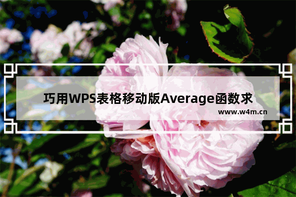 巧用WPS表格移动版Average函数求平均值