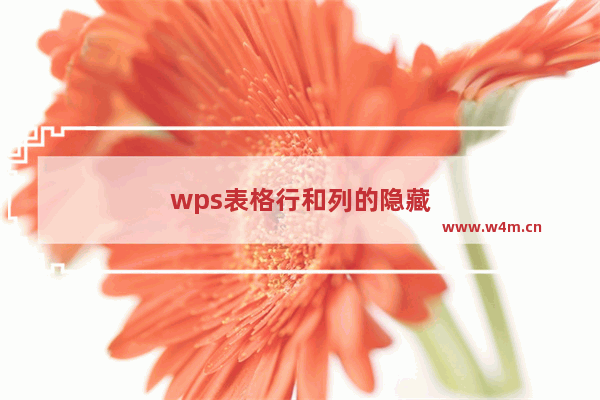 wps表格行和列的隐藏