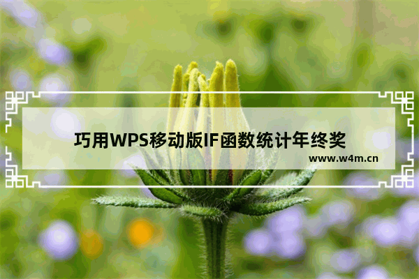 巧用WPS移动版IF函数统计年终奖