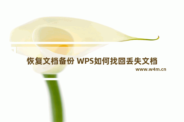 恢复文档备份 WPS如何找回丢失文档