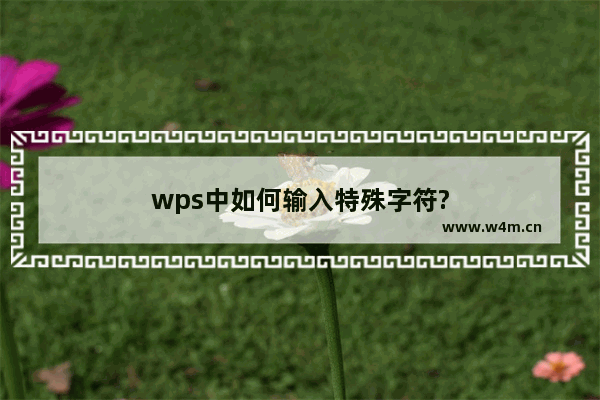 wps中如何输入特殊字符?