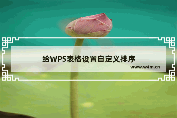 给WPS表格设置自定义排序