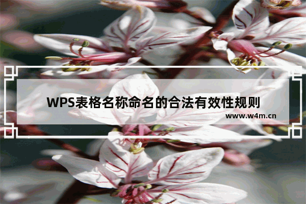 WPS表格名称命名的合法有效性规则