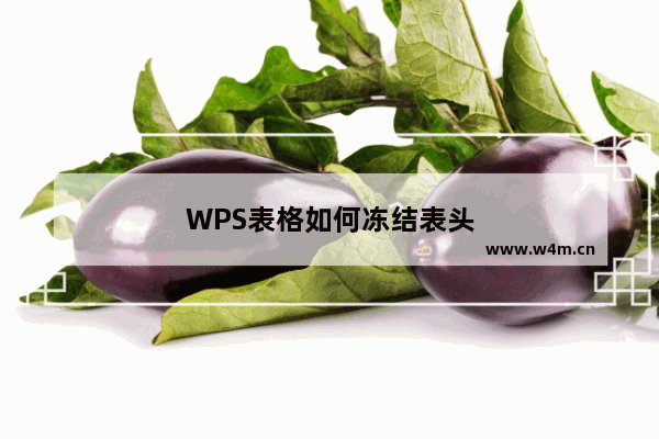 WPS表格如何冻结表头