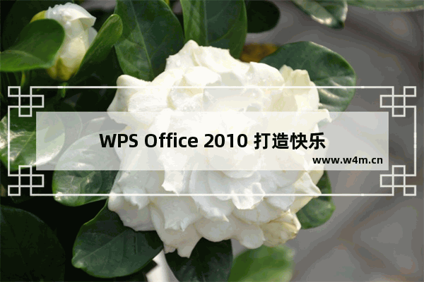 WPS Office 2010 打造快乐记账生活