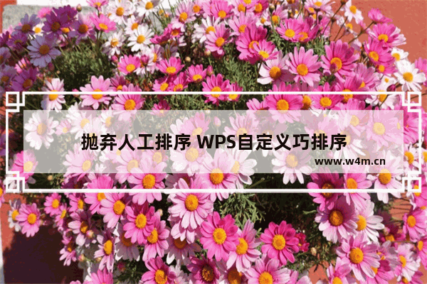 抛弃人工排序 WPS自定义巧排序