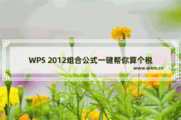 WPS 2012组合公式一键帮你算个税