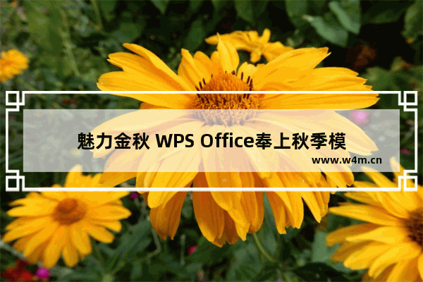 魅力金秋 WPS Office奉上秋季模板