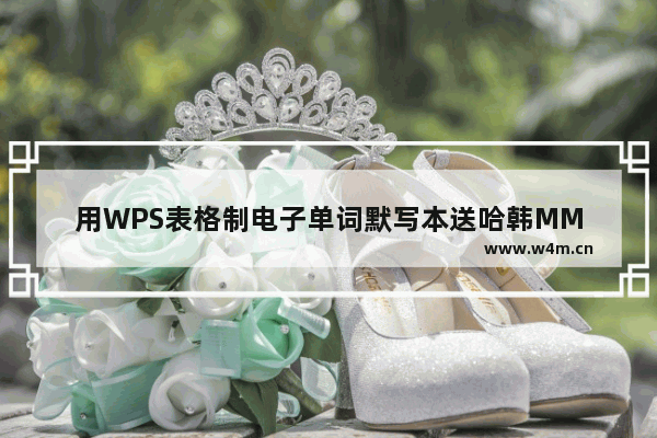 用WPS表格制电子单词默写本送哈韩MM