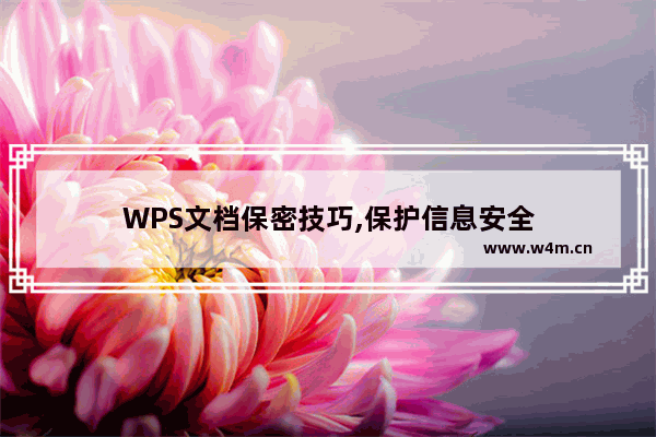 WPS文档保密技巧,保护信息安全