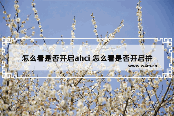 怎么看是否开启ahci 怎么看是否开启拼小圈