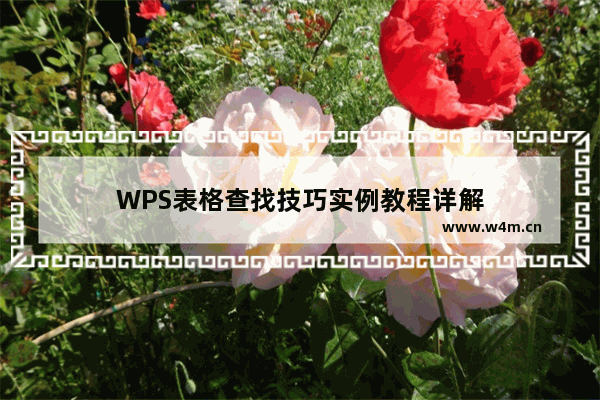 WPS表格查找技巧实例教程详解