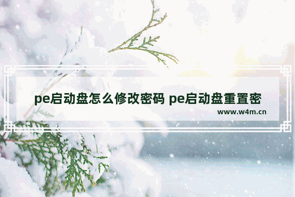 pe启动盘怎么修改密码 pe启动盘重置密码