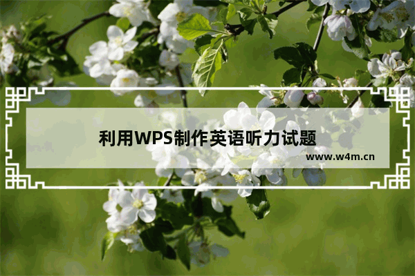 利用WPS制作英语听力试题