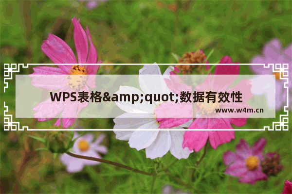 WPS表格"数据有效性"在数据录入中的妙用