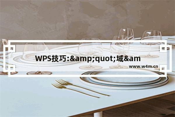 WPS技巧:"域"展风采